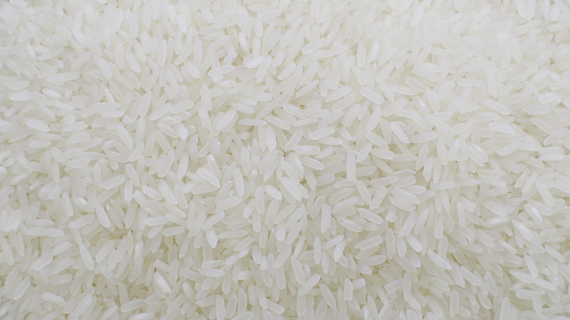Gạo Jasmine